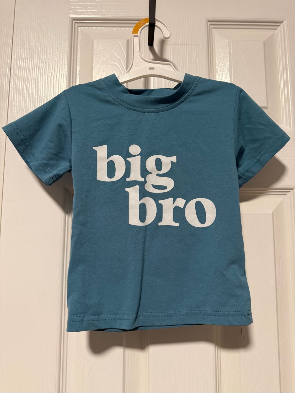 Big Bro Kids Tee shirt toddler gender reveal baby announcement family brother
